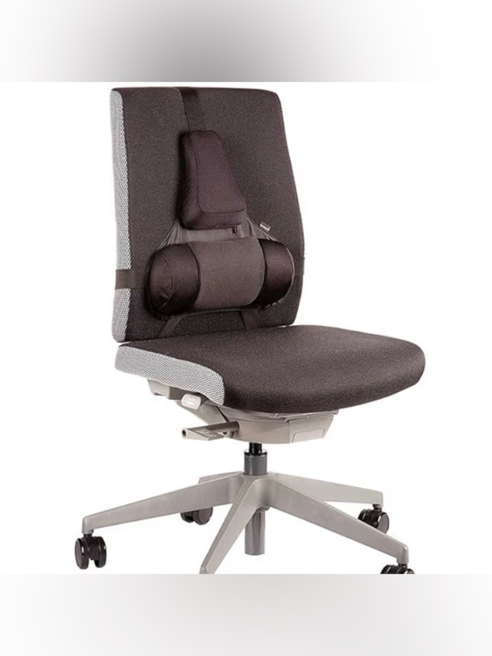 Fellowes Professional Series Back Support